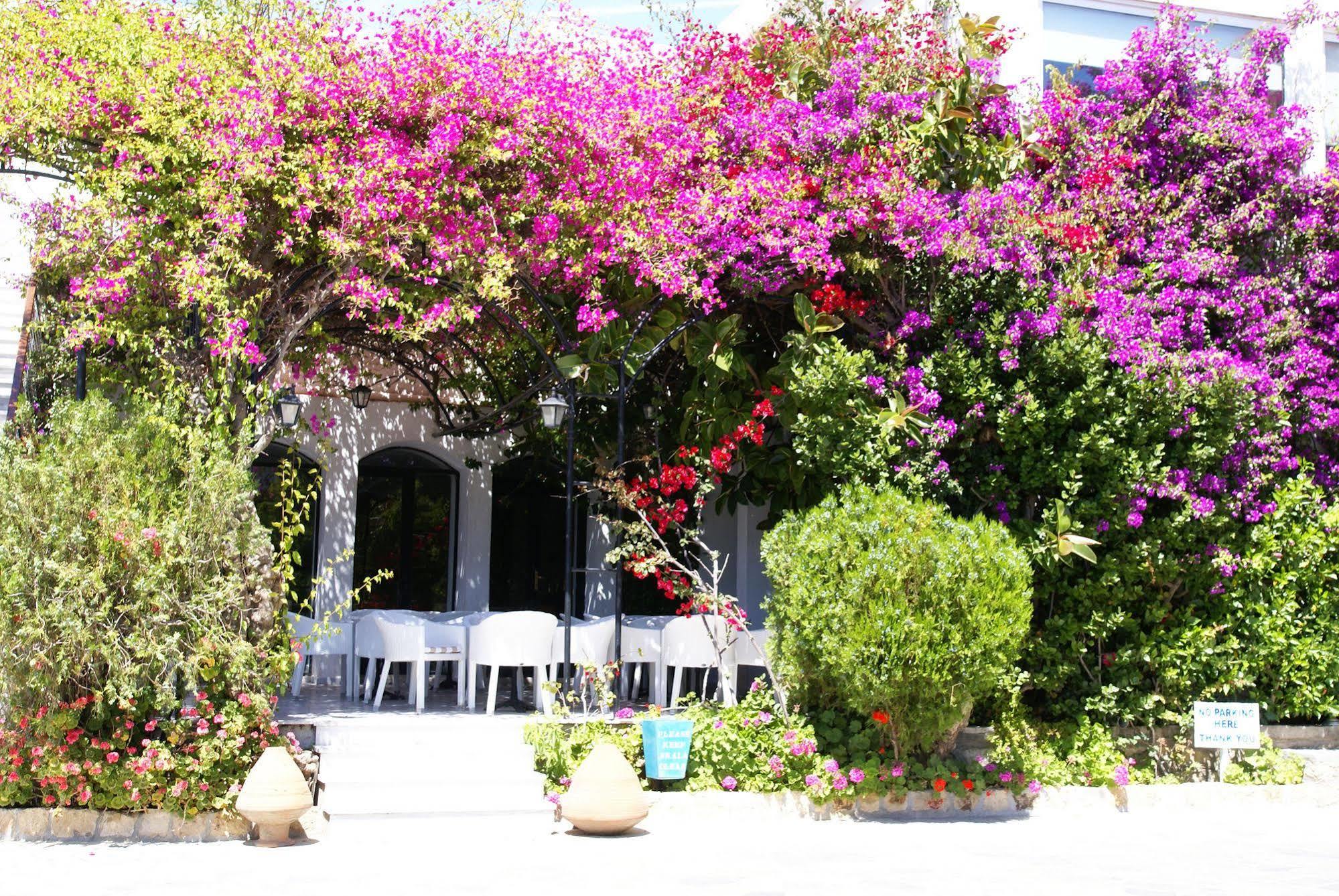 Skala Hotel Skála Exterior foto